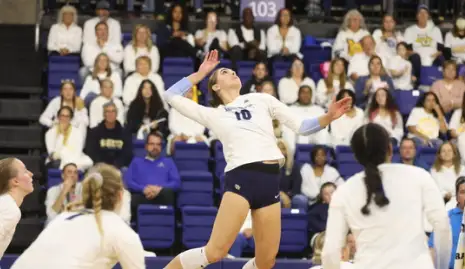 athlete volleyball player serving during a match