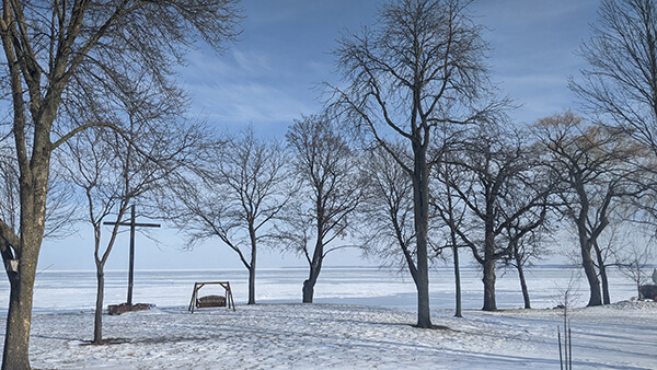 Trees in front of Lake Winnebago