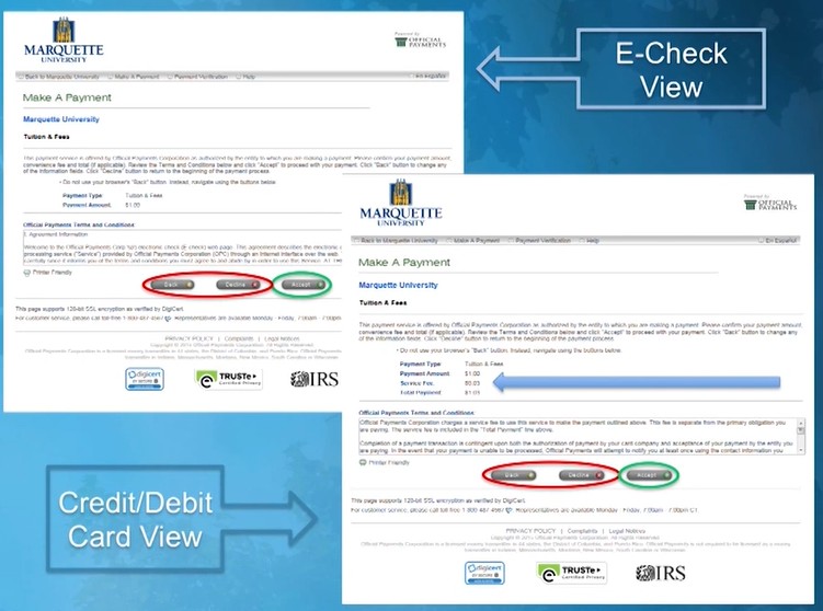 Online e-check vs. credit card payment snap shot