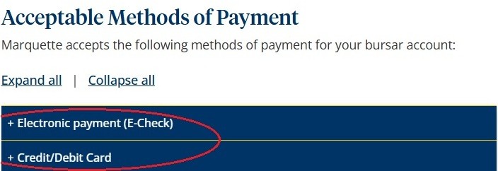 Make a payment page online payment options