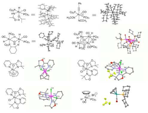 Catalytic C-H Bonds