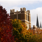 Campus in the fall