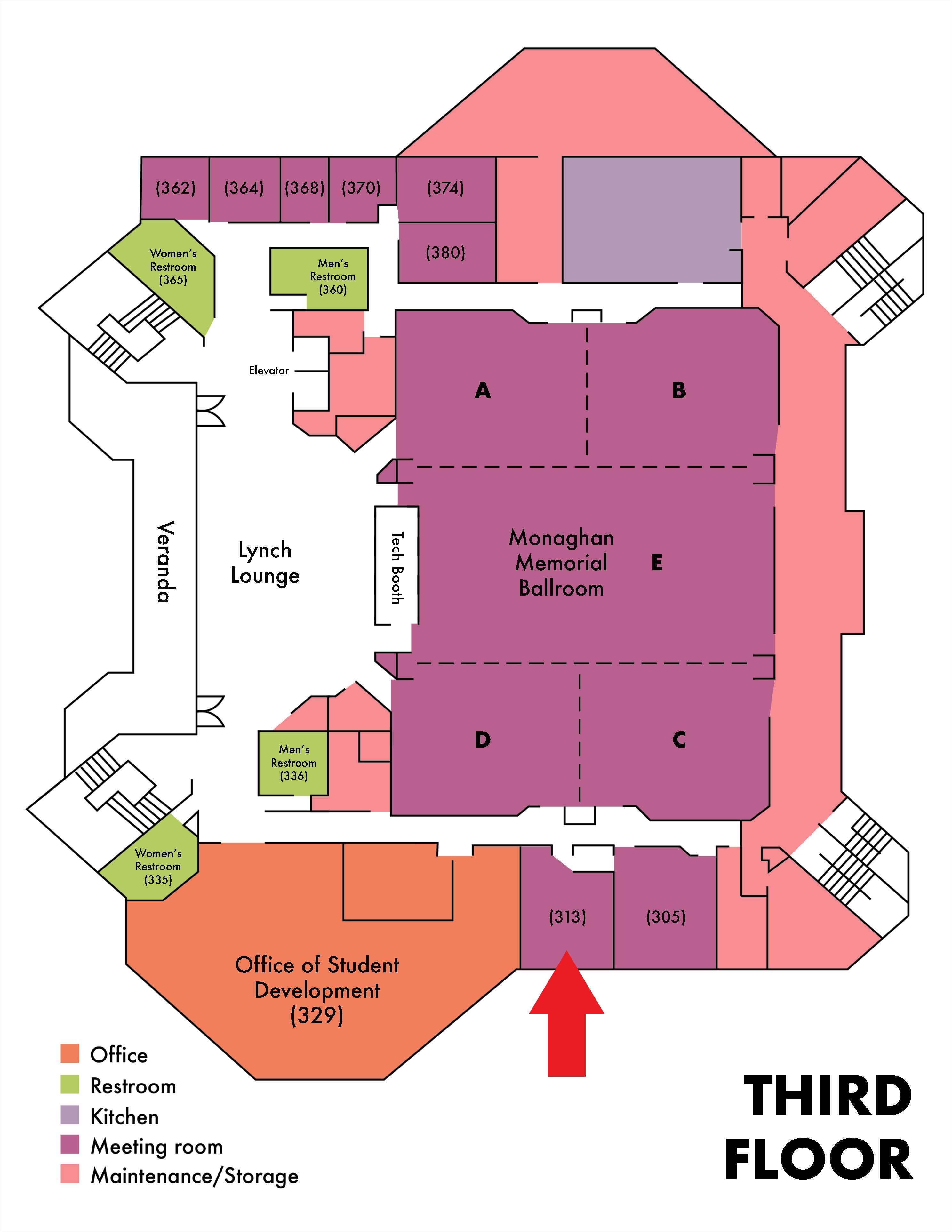 amu 313 diagram