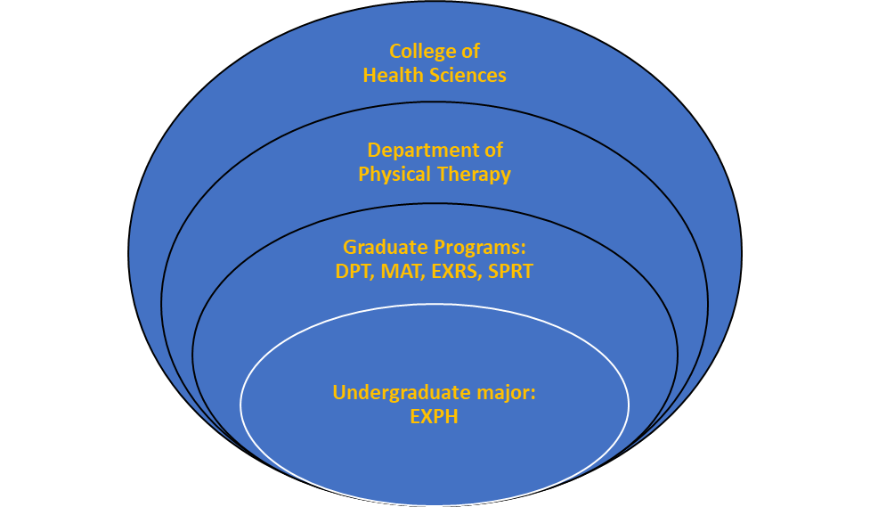  Org chart for Program in Exercise Science, text details found at Organizational Chart