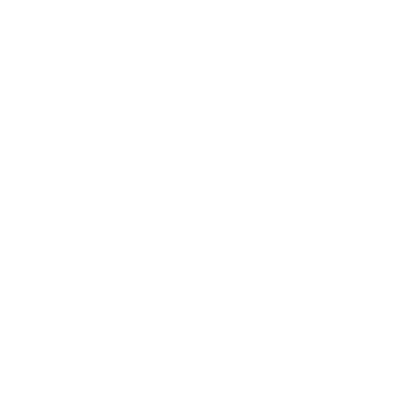 AI chip