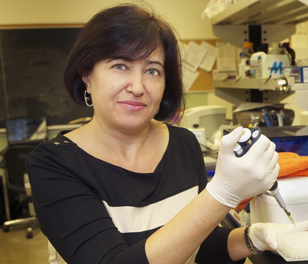 Dr. Hristova