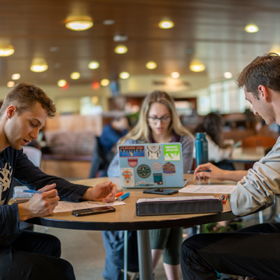 Three students on the bridge