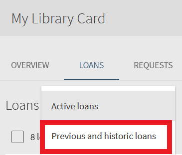 Screenshot of MARQCAT loan interface