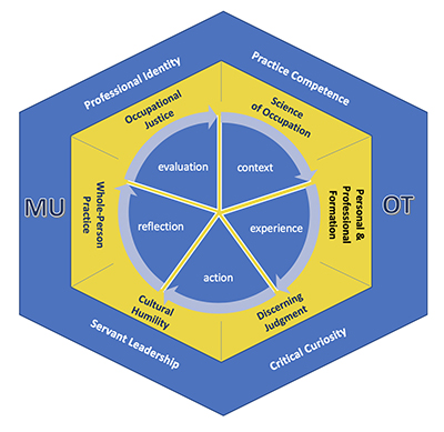 OT Chart