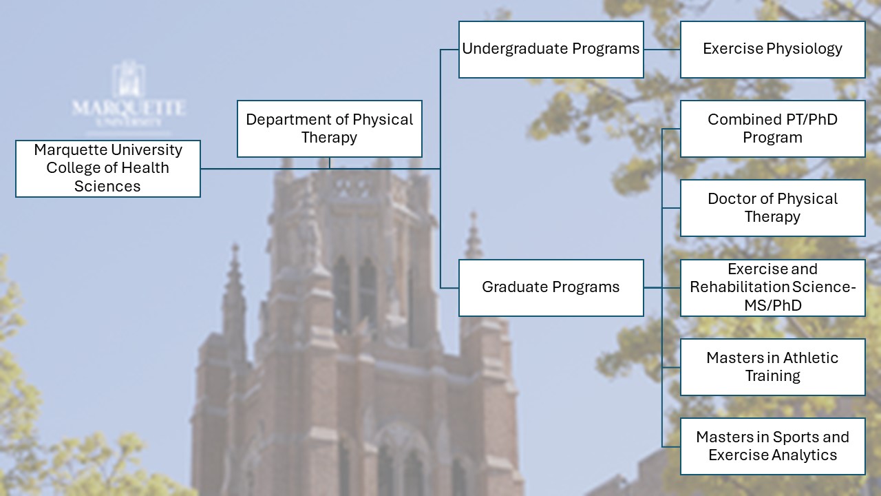 Department structure