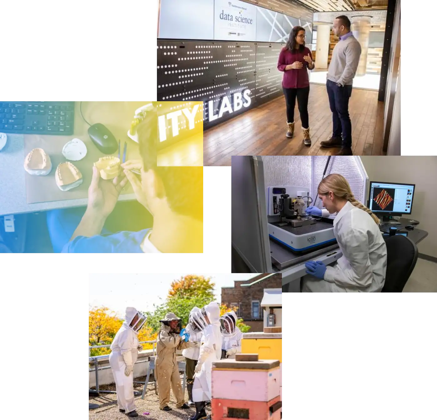 Collage of images, student in a lab, students working with bees, a student working with dental moldings