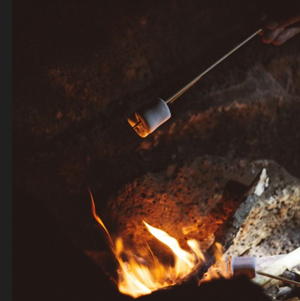 smores roasting over campfire